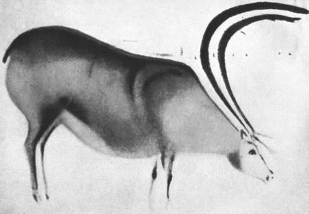 Олень. Альтамира